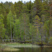 Sevettijärventie