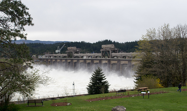 Bonneville Dam (#0459)