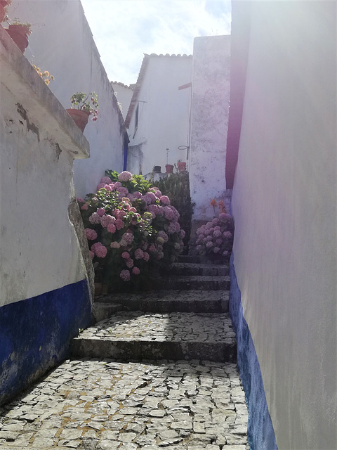 On a narrow street is more difficult to sunbath