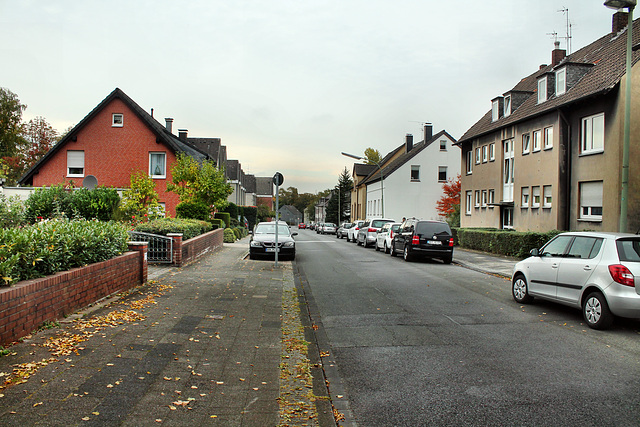 Friedgrasstraße (Wanne-Eickel) / 17.10.2016