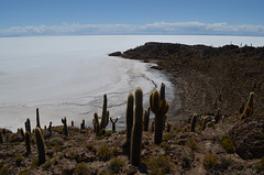 Bolivia, North Cape of Isla del Pescado (Fish Island)