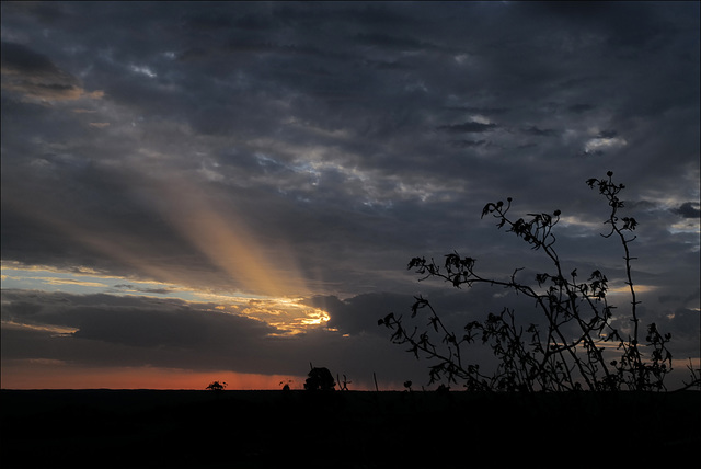 Penedos, Sunrays...