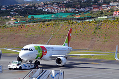 TAP Air Portugal Airbus A319-111 CS-TTP Josefa de Obidos