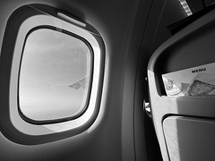 aviation 81
