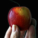 La pomme d'Adam est connue , mais bientôt le monde entier connaîtra la pomme de Julien !