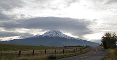 Weed, CA Mt Shasta(1060)