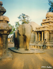 17 The Five Rathas Elephant