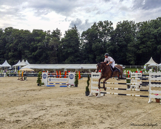 Pferd und Reiter an einer Spungkonkurenz auf der Alpführen