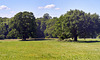 park-1072-1074 Panorama-05-06-17