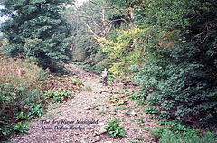 The dry River Manifold near Dafar Bridge (Scan from 1989)