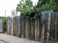 Clôture botanique / Botanical fence