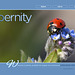 ipernity homepage with #1316