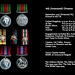 Dad's medals