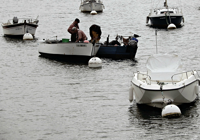 retour de pêche