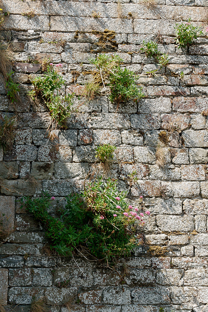 A l'assaut des remparts