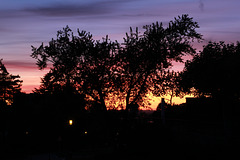 Sonnenuntergang auf der Mathildenhöhe