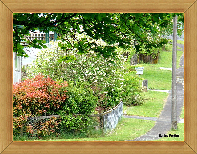 Along a Footpath.