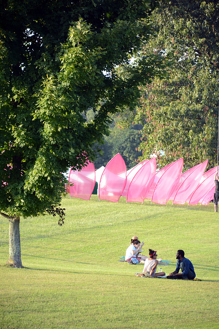 The lawn was popular, too