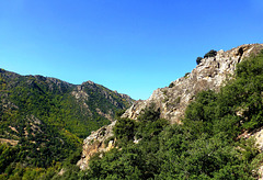 FR - Casteil - On the way to St. Martin de Canigou