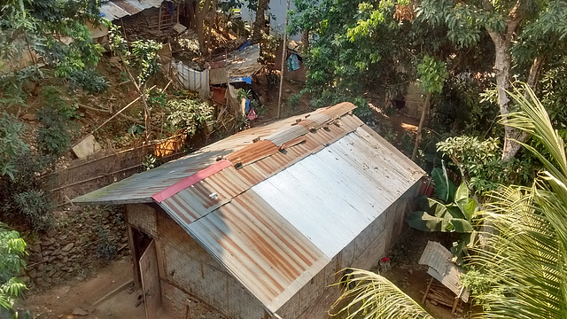 Toiture rustique / Rustic roof