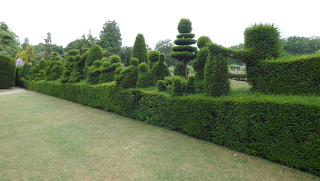 Pied Piper Topiary