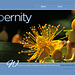 ipernity homepage with #1368