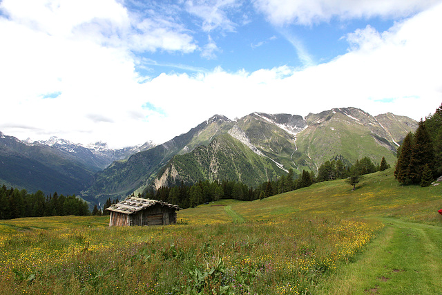 Almwiesen und Heustadel der Eggergrubalm