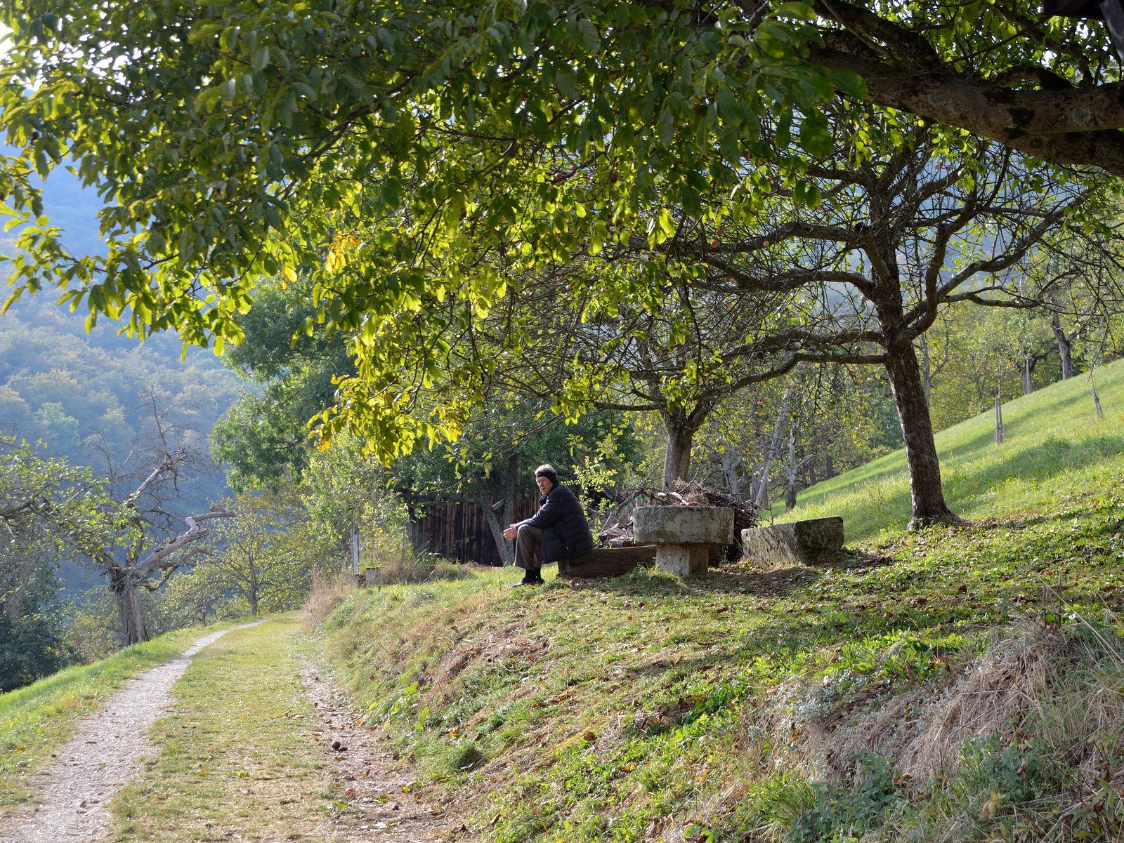 Genussmomente im Herbst