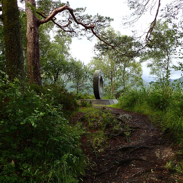 P7050029 Ben Lomond Memorial National Park