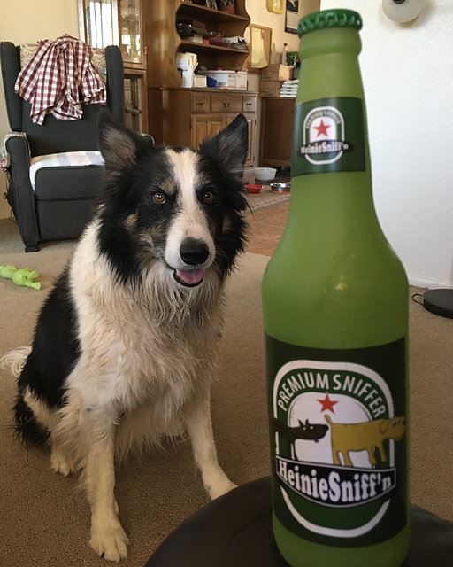 Care for a Heinie Sniff’n ?