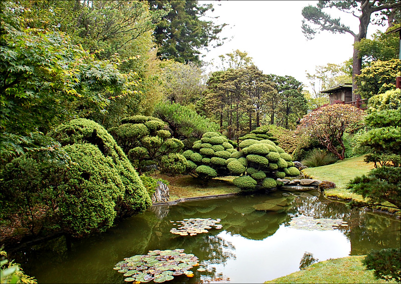 Japanese Garden