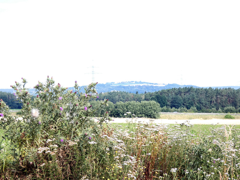 unsere Heimat