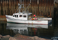 Reflections of an Ocean Warrior