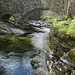 Old bridge over the River Feshie
