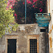Ruine mit Blumendach auf Kreta