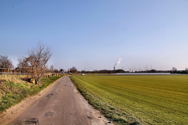 Feldweg bei Holthausen (Waltrop) / 5.03.2022