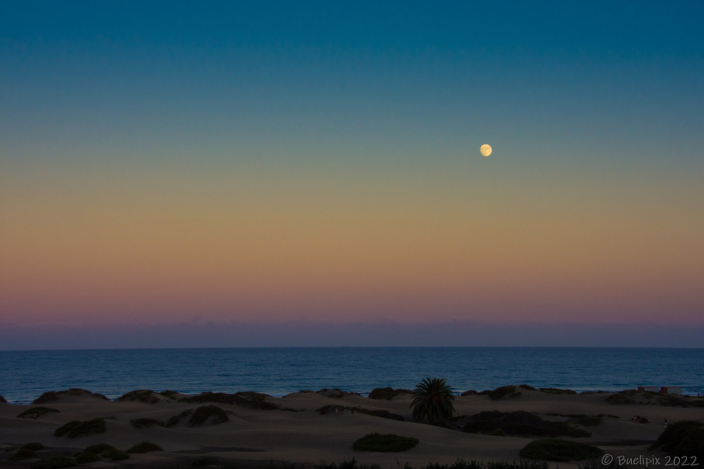 Mond vor Palya del Inglés ... pls. press "z" for view on black background ... P.i.P. (© Buelipix)