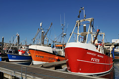 HFF from Newlyn