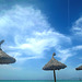 Holidays