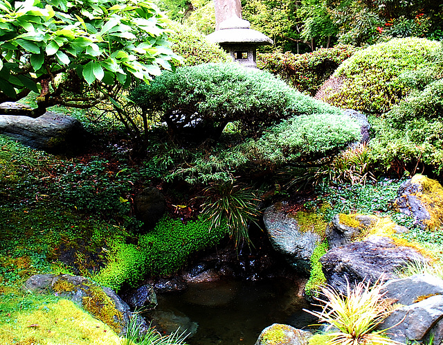 Japanese Garden