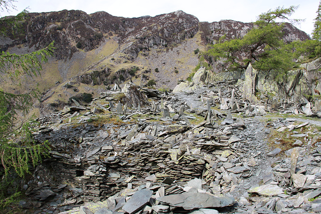 Castle Crag Borrowdale