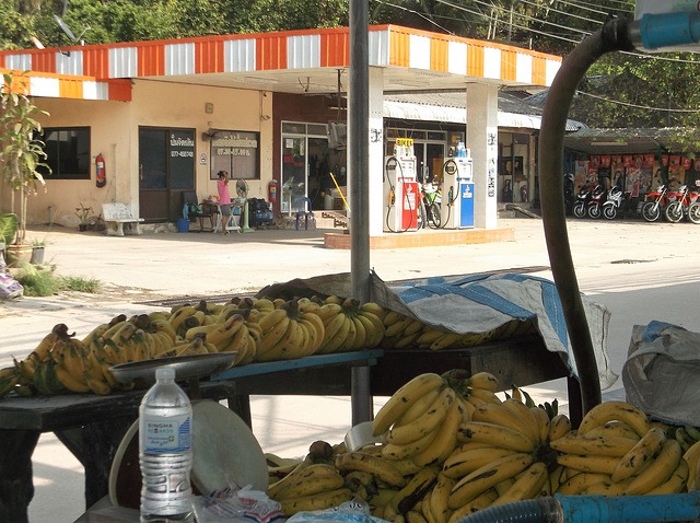 Les bananes sont l'essence de la vie