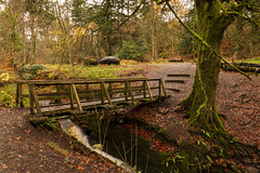 Footbridge over Overtoun Burn