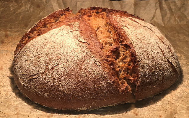 Mein erstes Brot