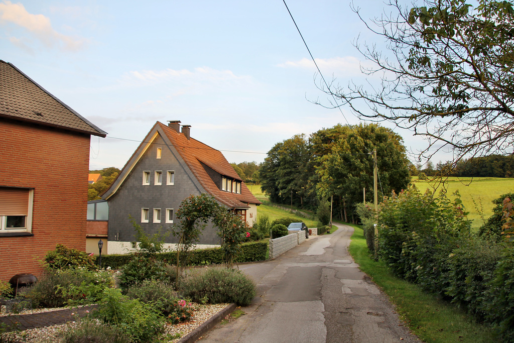 Sandlöhken (Sprockhövel-Scheven) / 29.07.2021