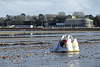 EOS 90D Peter Harriman 17 48 55 03212 lostTrainers dpp