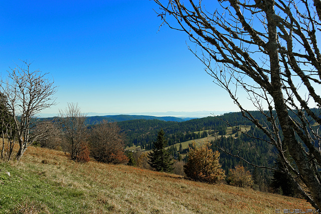 unterwegs am Feldberg (© Buelipix)