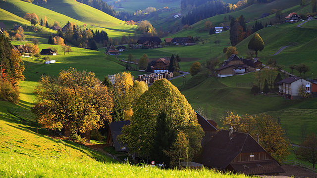 Bei Rüderswil (Abendsonne) (© Pipo63)