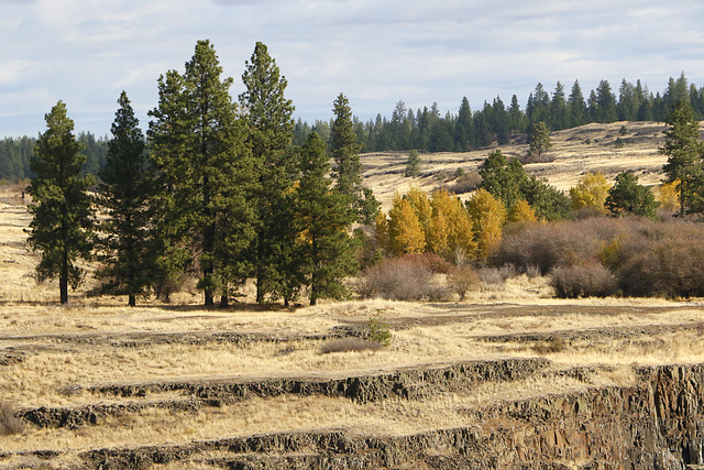 Channeled Scablands