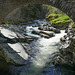 Old bridge over the River Feshie